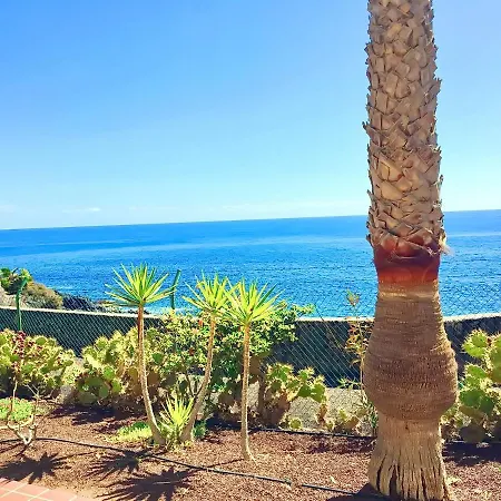 Apartament 1bed On The 1st Coastline With A Ocean View